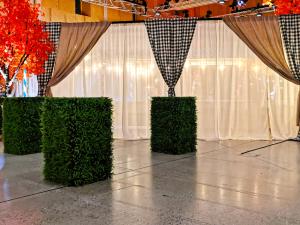 Green Stehkube gross 2